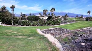 a golf course with a retaining wall and palm trees at La Quinta Villas in San Miguel de Abona +16 photos