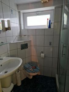 a bathroom with a toilet and a sink and a window at Huuske 086 in Simpelveld