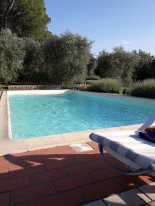 una piscina azul con chaise longue junto a ella en Villa di Elisabeth, en Marciano Della Chiana