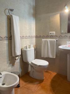 Koupelna v ubytování Hotel Meson Fuente del Pino
