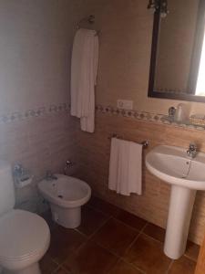 a bathroom with a toilet and a sink at Hotel Meson Fuente del Pino in Olvera