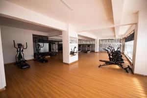 a gym with treadmills and exercise bikes in a room at New Luxury Apartment close to State House Nairobi in Nairobi