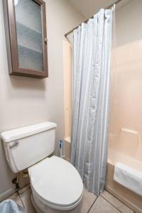 y baño con aseo y cortina de ducha. en HEIRS LIVING : HOMELY - Near Rapides Medical . Near Downtown . PetsOK . King Bed, en Pineville