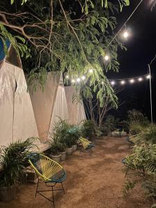 eine Gruppe von Stühlen in einem Garten in der Nacht in der Unterkunft Glamping Tepeyollotl in Troncones