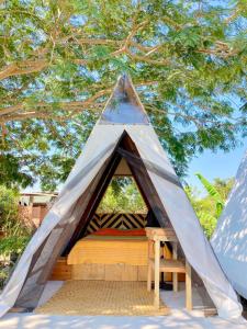 Bett in einem Zelt unter einem Baum in der Unterkunft Glamping Tepeyollotl in Troncones