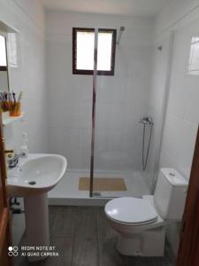 y baño con aseo, lavabo y ducha. en Casa rural con Wifi, terraza y vistas al mar el La Palma, en Puntallana