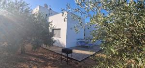 Vonkajšia záhrada v ubytovaní Villa Le Dune Cicas + 29 fotografií