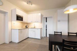 Kuchyň nebo kuchyňský kout v ubytování Apartmány pod Zakletým - Hotel Říčky