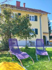 deux chaises violettes assises dans l'herbe devant une maison dans l'établissement SternenHimmel Gamlitz, à Gamlitz