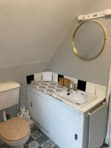 een badkamer met een wastafel, een toilet en een spiegel bij Cosy Stay on The Wild Atlantic Way in Malin