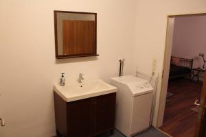La salle de bains est pourvue d'un lavabo et d'un lave-linge. dans l'établissement Apartment Rainer, à Heddesheim