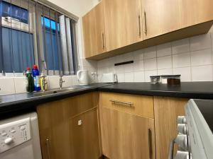 uma cozinha com um lavatório e uma máquina de lavar louça em Nice Living Serviced Accommodations 3 em Coventry