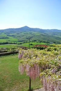 un campo de flores con montañas en el fondo en Borgo di Monte Murlo en Guardistallo