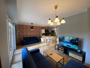 ein Wohnzimmer mit einem blauen Sofa und einem TV in der Unterkunft Angelika9I 3 Mountain Aparts in Świeradów-Zdrój