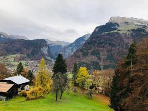 Príroda v okolí dovolenkového domu