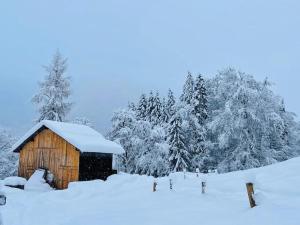 Le Chalet de Bémont v zime
