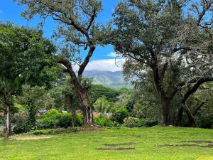 ein grünes Feld mit Bäumen und Bergen im Hintergrund in der Unterkunft Hacienda Guachipelin Volcano Ranch Hotel & Hot Springs in Liberia