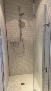 a shower with a glass door in a bathroom at Marienburg in Lorsch