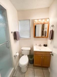 新布朗費爾斯的住宿－The Comal River Escape，浴室配有卫生间、盥洗盆和淋浴。