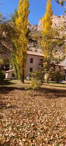 un edificio con dos árboles en un campo de hojas en Hotel Molino Alto en Aliaga