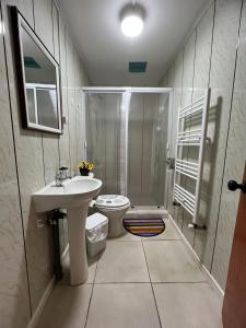 a bathroom with a shower and a sink and a toilet at Hostal B&B Coastal Natales in Puerto Natales