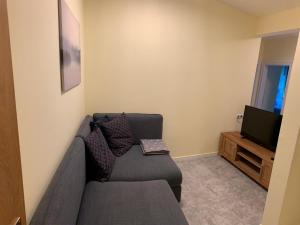 uma sala de estar com um sofá e uma televisão em Hernegg Apartment em Riscone