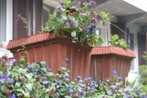 Vonkajšia záhrada v ubytovaní Guest house Cascina Belsito