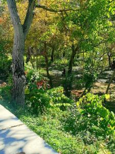 Taman di luar ORI Modern Apart Malul Muresului , Arad
