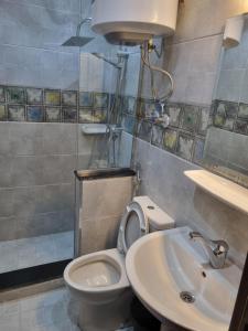 ein Bad mit einem WC und einem Waschbecken in der Unterkunft Elite apartment in Mohandessin in Kairo