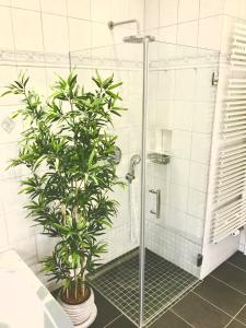 a shower with a plant in a bathroom at Stadtpark-Oase in Erfurt