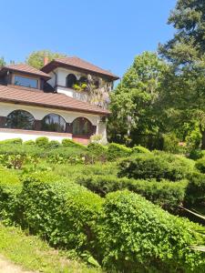 uma casa com um monte de arbustos na frente dela em Conacul cu Nuci 