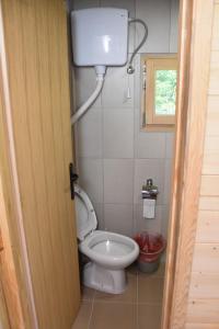 a small bathroom with a toilet and a window at Brvnara Brkovic 2 in Čajetina