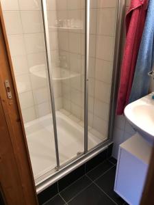 een douche met een glazen deur in de badkamer bij Mountain River Luxury Apartment in Val dʼIlliez