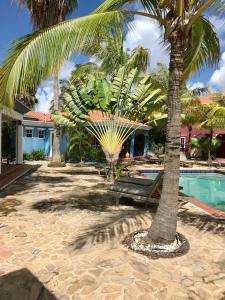 un complexe avec une piscine et des palmiers dans l'établissement Villa Perla due (diving villa Chikitu), à Kralendijk