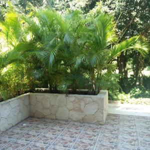Κήπος έξω από το BahiaPrincipe Tulum Country Club Condo w/whirlpool