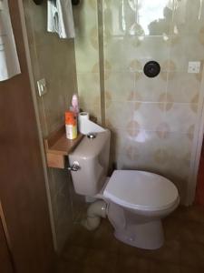 a bathroom with a white toilet in a room at Appartement complet entre Disney et Paris a 15 minutes de la cite universitaire in Champs-sur-Marne