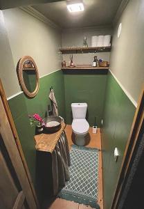 bagno verde con servizi igienici e specchio di Randu klēts a Salacgrīva