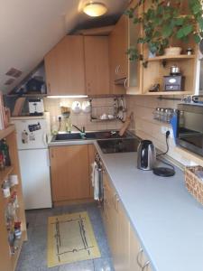 a small kitchen with wooden cabinets and a white refrigerator at Byt 4+kk v klidné části obce Bedřichov in Bedřichov