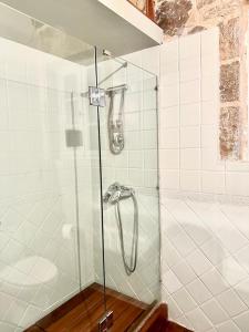 een douche met een glazen deur in de badkamer bij Alemarni Parnassos in Polydrossos