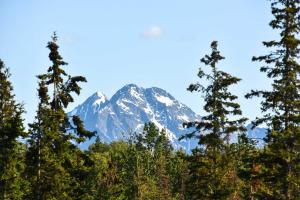 Gallery image of Spacious and Private Home with Lazy Mountain View in Palmer
