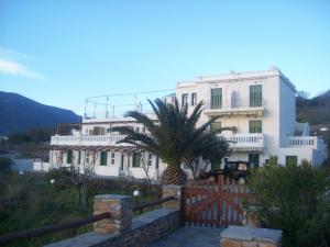 a white house with a palm tree in front of it at Vassiliki Studios in Andros