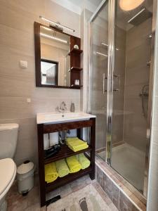 La salle de bains est pourvue d'un lavabo et d'une douche. dans l'établissement MonikaRooms, à Zagreb