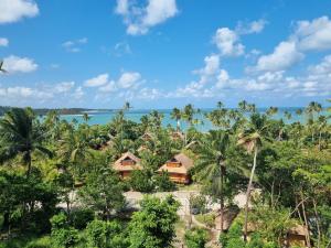 Flat Eco Resort-Praia dos Carneiros في تامانداري: اطلالة جوية على منتجع فيه نخيل والمحيط