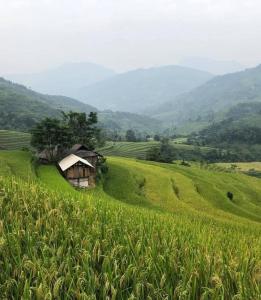 a house in the middle of a green field at Nậm Lỳ Retreat- Breakfast included in Ha Giang