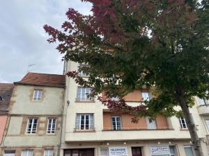 un edificio con un árbol delante de él en Appartement Moulins, 2 pièces, 2 personnes - FR-1-489-398, en Moulins