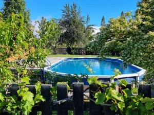 a swimming pool in a yard with trees at Cheviot Motels, Cabins and Camp in Cheviot