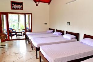a group of four beds in a room at Estate Flora Homestay - Balcony, Home Food, Coffee Estate in Sakleshpur