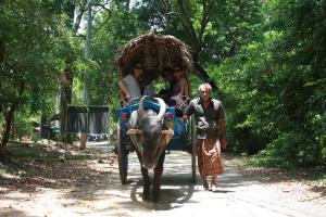 Ảnh trong thư viện ảnh của CAMPING BY LUCKY HOLIDAY ở Mirigama