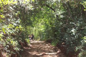 Ảnh trong thư viện ảnh của CAMPING BY LUCKY HOLIDAY ở Mirigama