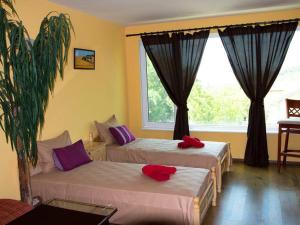 two beds in a room with a window at Villa Sunny Hill in Fish Fish